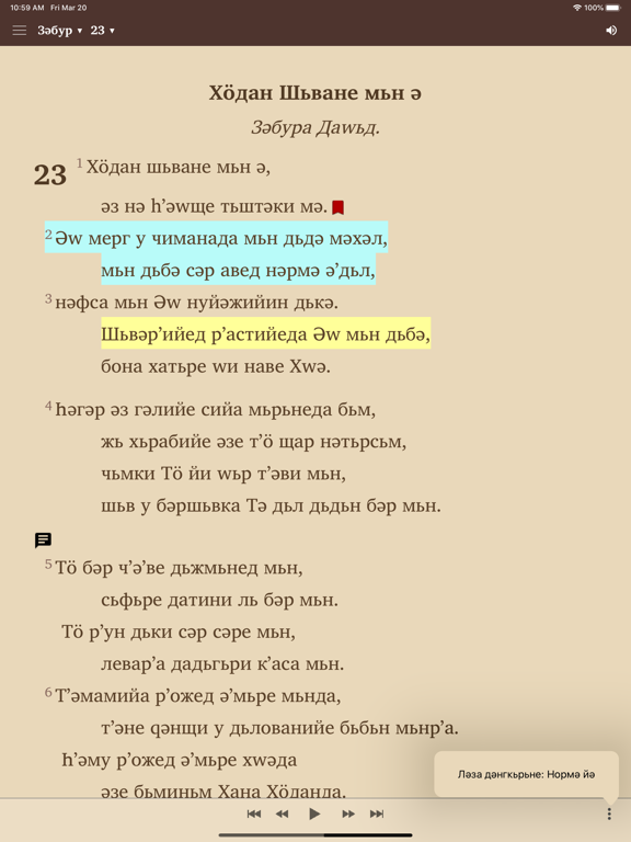 Ньвисаред Пироз iPad screenshot