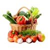 Fruits and Vegetables Bundle
