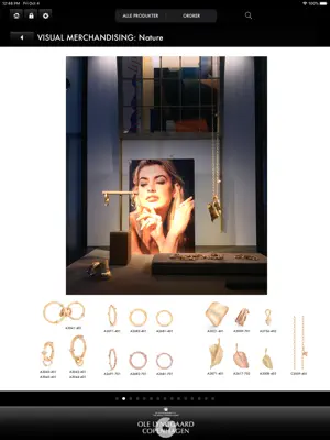 OLC Retail screenshot 4
