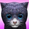 KittyZ, my virtual pet