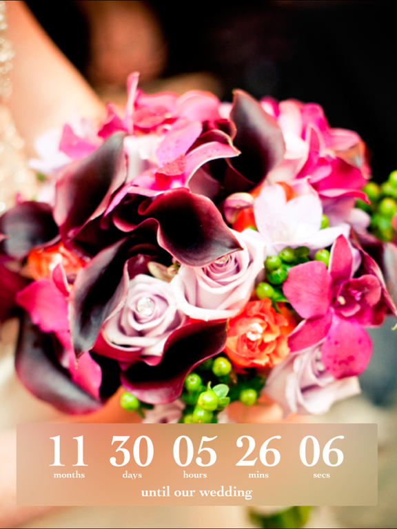 Screenshot #4 pour Wedding Countdown