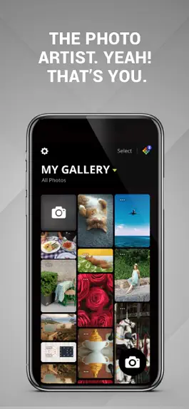 Game screenshot Polaroid Zip mod apk