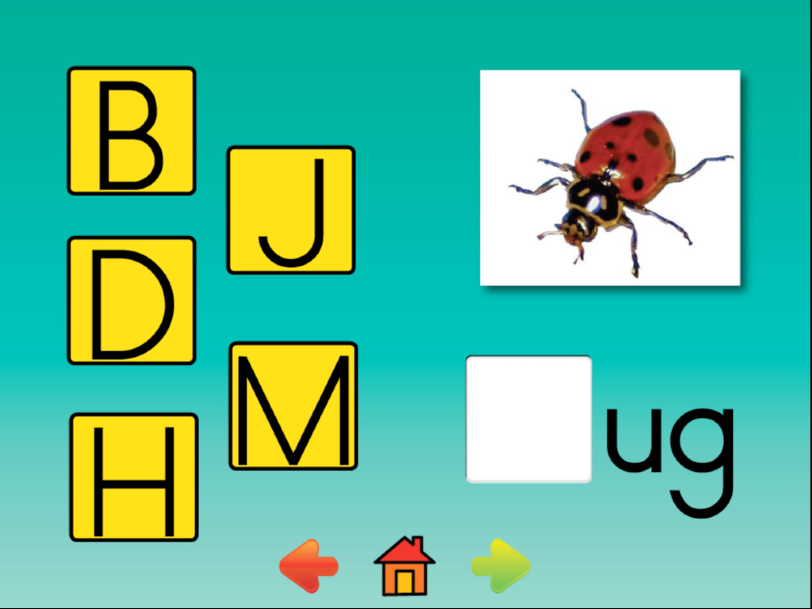 First Grade Reading Program