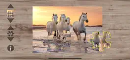 Game screenshot Pony Puzzles mod apk