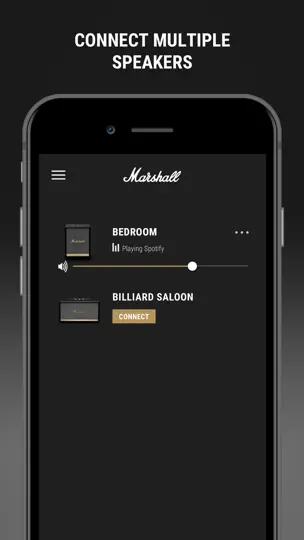 Screenshot von Marshall Voice auf dem iPhone 1