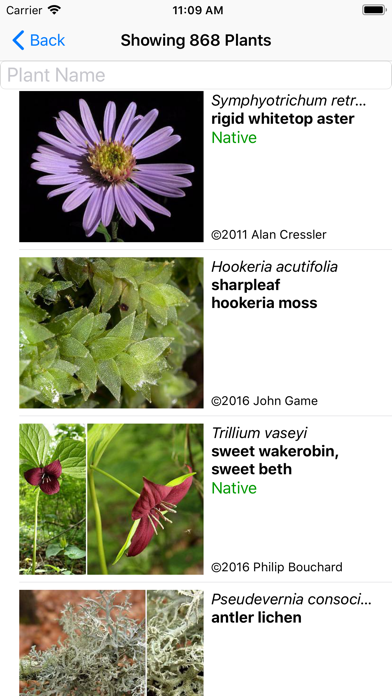 Screenshot #2 pour Smoky Mountains Wildflowers