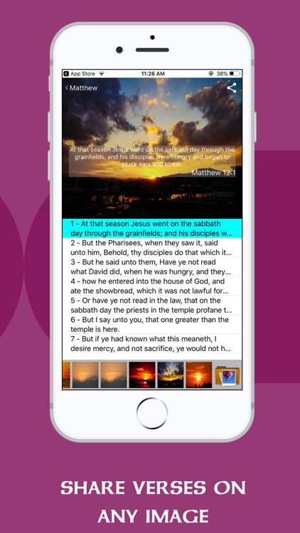 ASV Bible Offline - Holy Bible screenshot-5