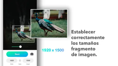 Tamaño de la foto