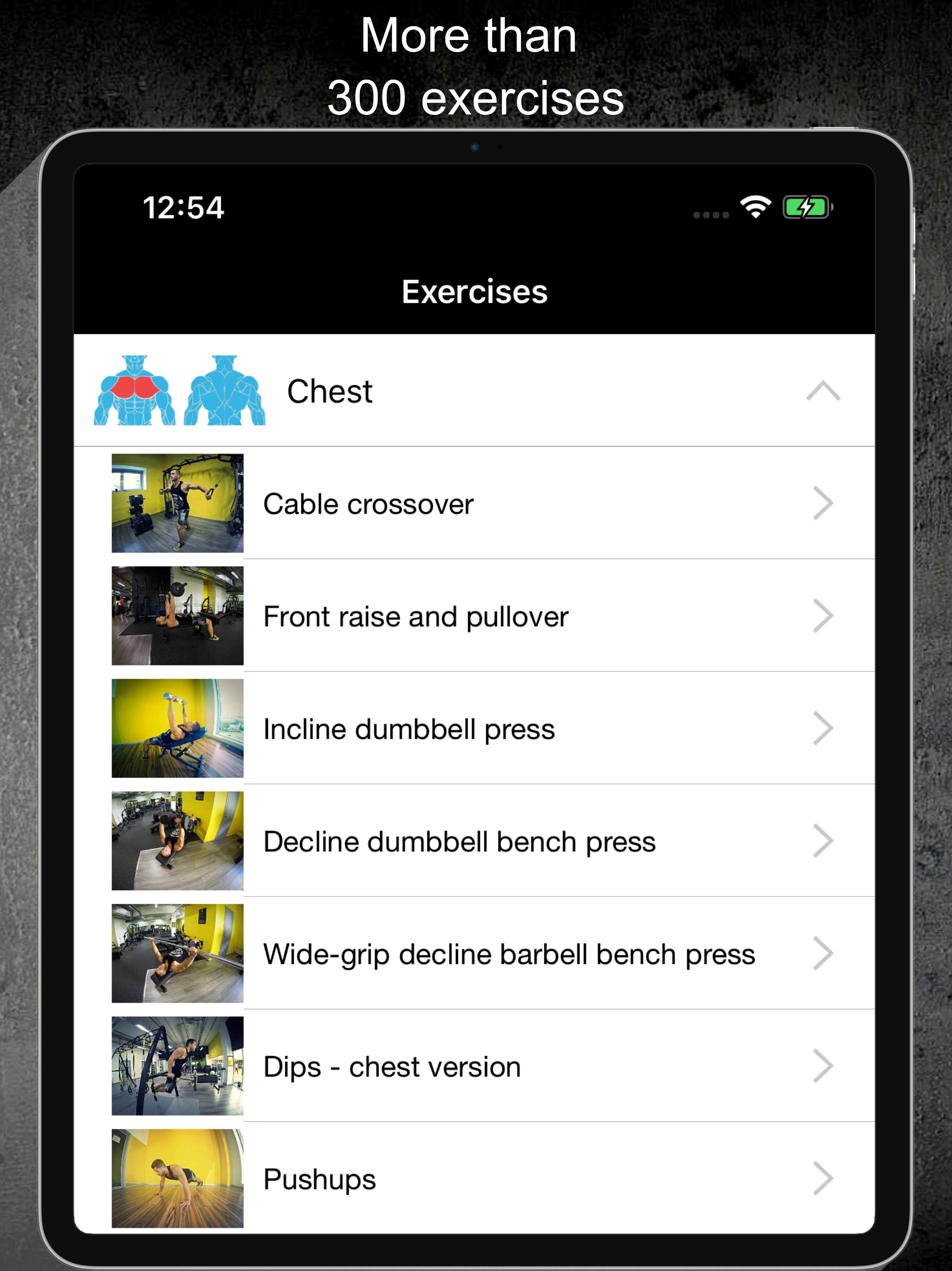 Gym Guide Pro workouts