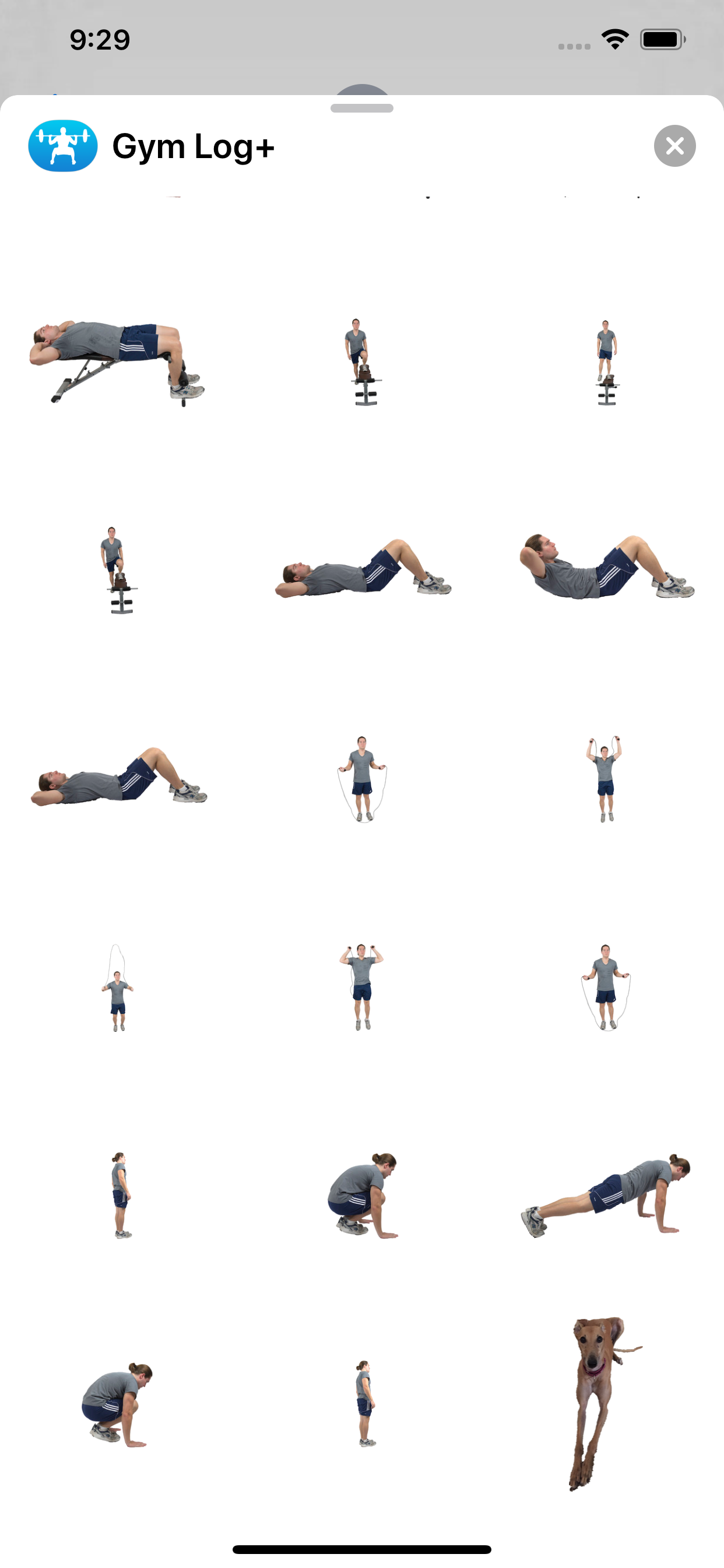 Gym Log+