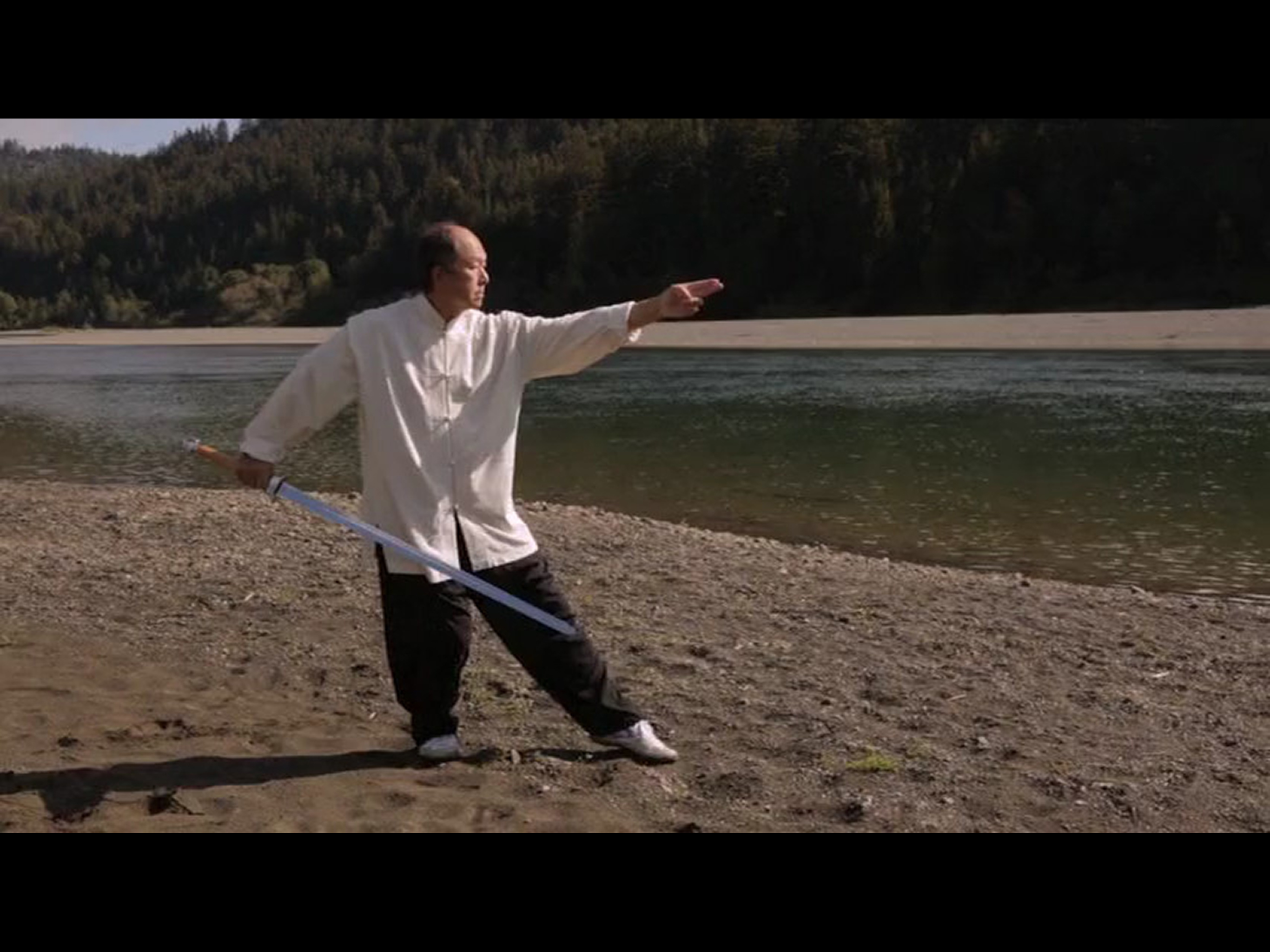 Tai Chi Sword for Beginners screenshot 8