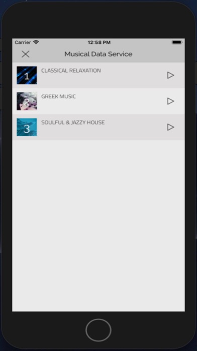 Screenshot #2 pour Musical Data Service