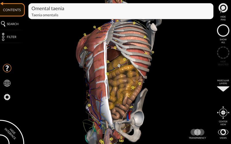 3d anatomy software for pc free download