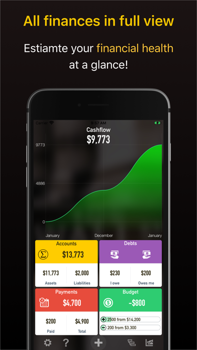 Mr. Money - Finance Manager Screenshot