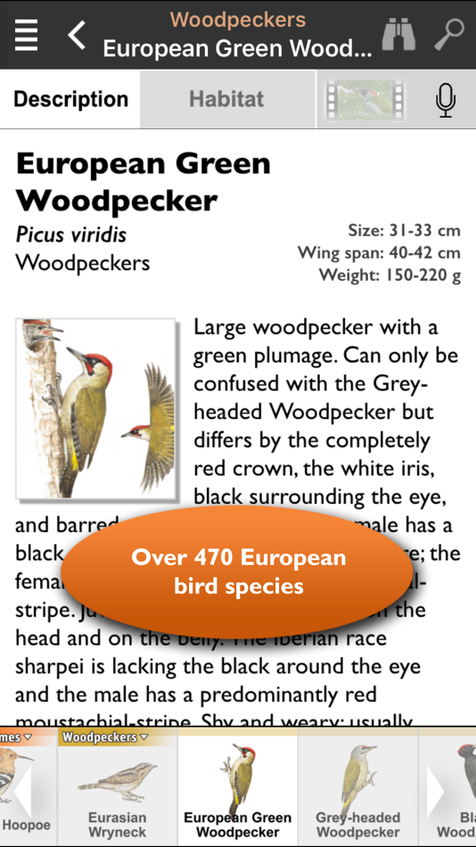 #1. Birds of Europe Guide (iOS) 由: Franckh-Kosmos Verlags-GmbH & Co. KG