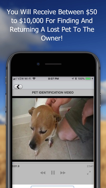 Pet Video Verify