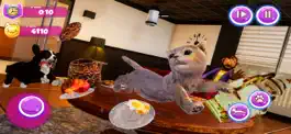 Game screenshot Little Kitten My Cat Simulator apk