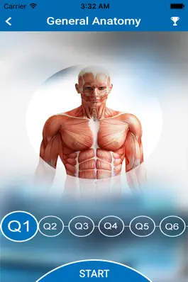 Game screenshot Chiro Board Review apk