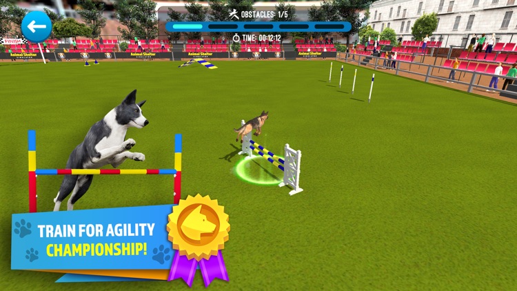 Animal Shelter Simulator screenshot-4