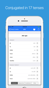 French Verb Conjugator Pro screenshot