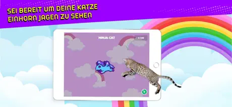 Ninja Cat: Game for Cats