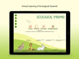 Game screenshot Ecological Pyramid mod apk