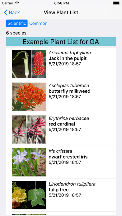Georgia Wildflowers Screenshot