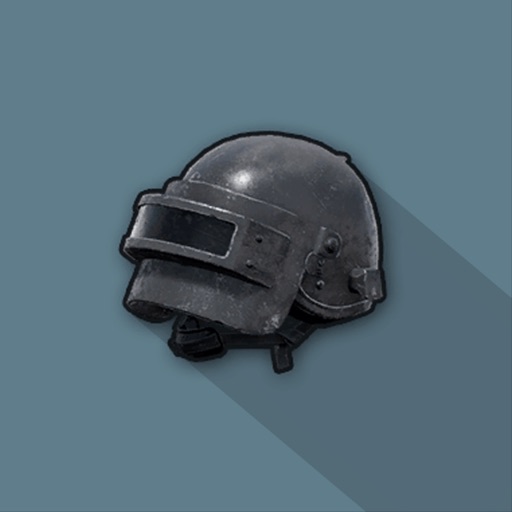 Stats for PUBG Icon