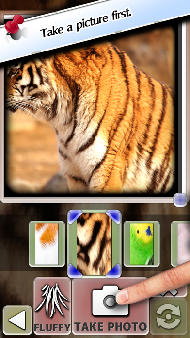 Fluffy Camera iPhone screenshot 1 - Photo & Video app
