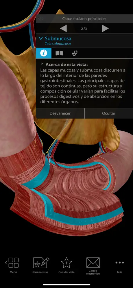 Fisiología & Patología