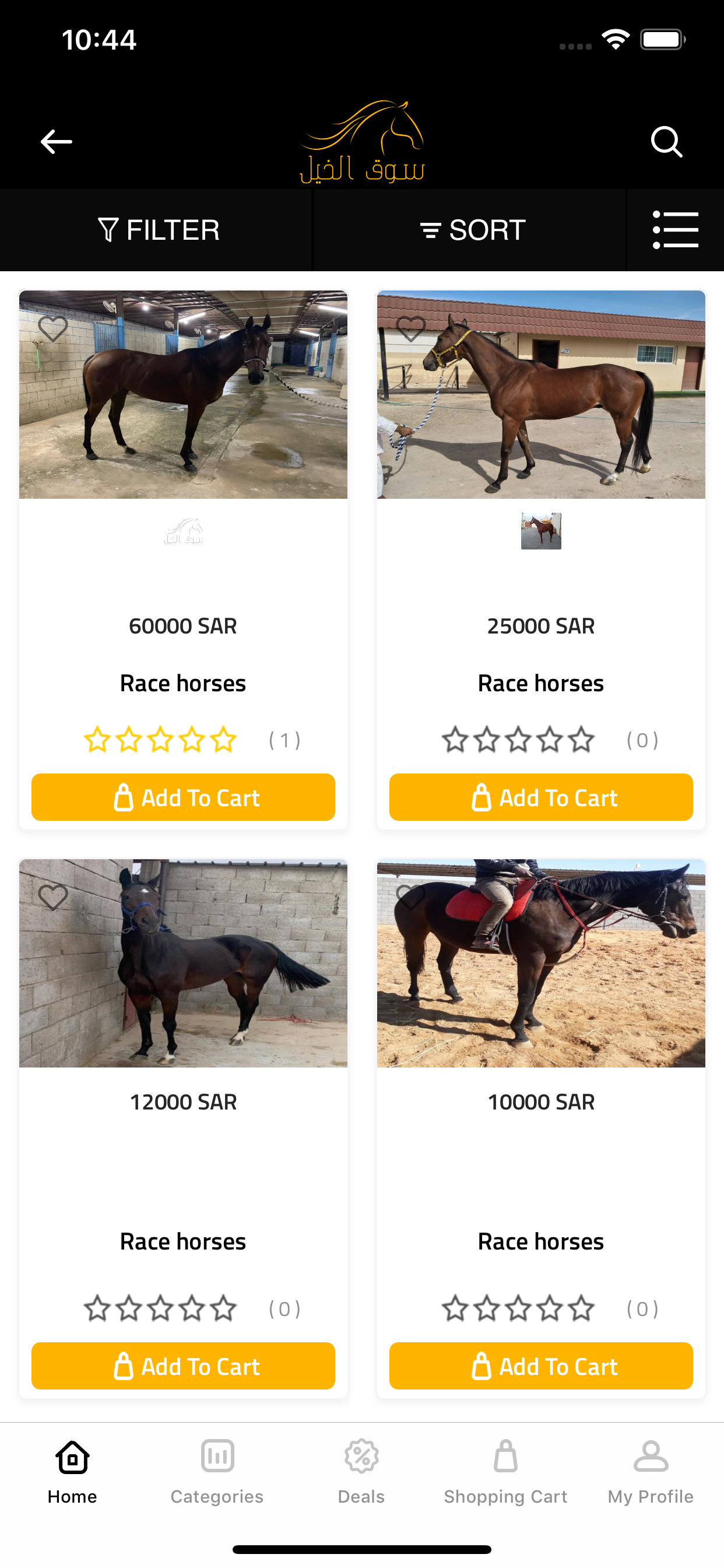Horse Market | سوق الخيل