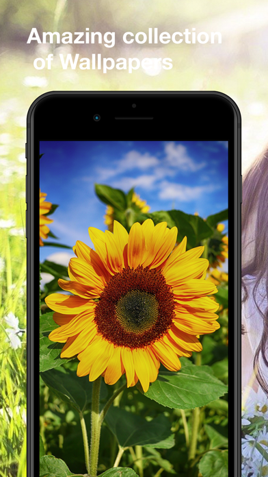 Screenshot #1 pour Fonds d'écran Fleurs: HD
