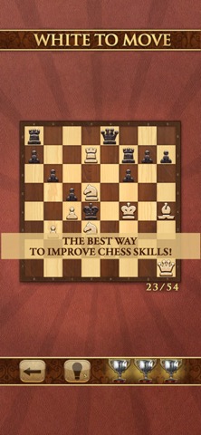 Mate in One Move. Chess Puzzleのおすすめ画像3