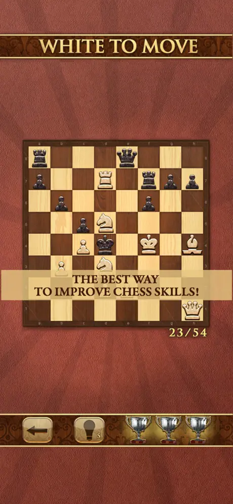 Mate in One Move. Chess Puzzle