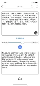 录音笔 STT screenshot #3 for iPhone