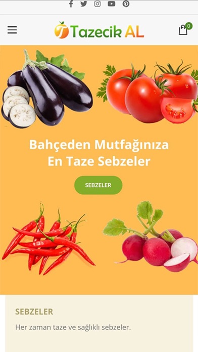 Screenshot #1 pour Tazecik Al