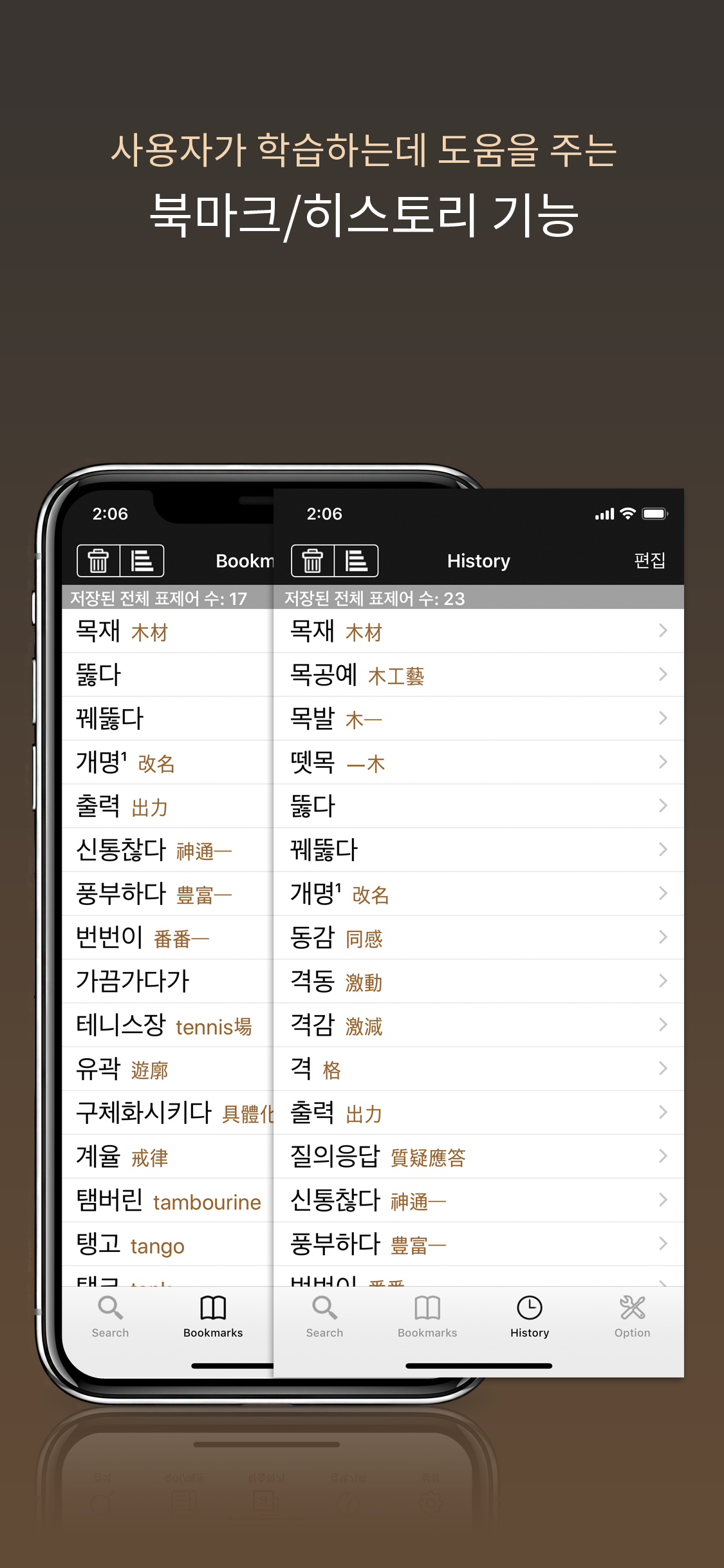고려대 한중사전 - KoCh DIC