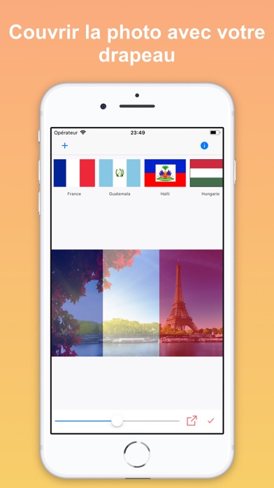 Screenshot #1 pour Country Flag Lite