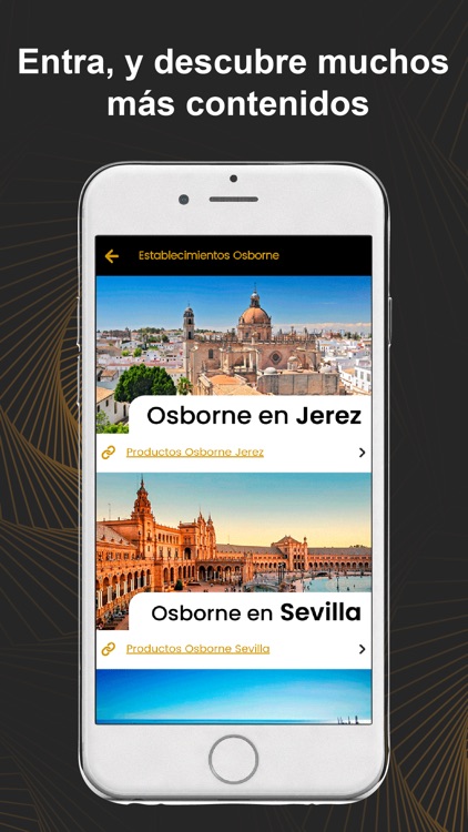 DirectOs Accionistas screenshot-5