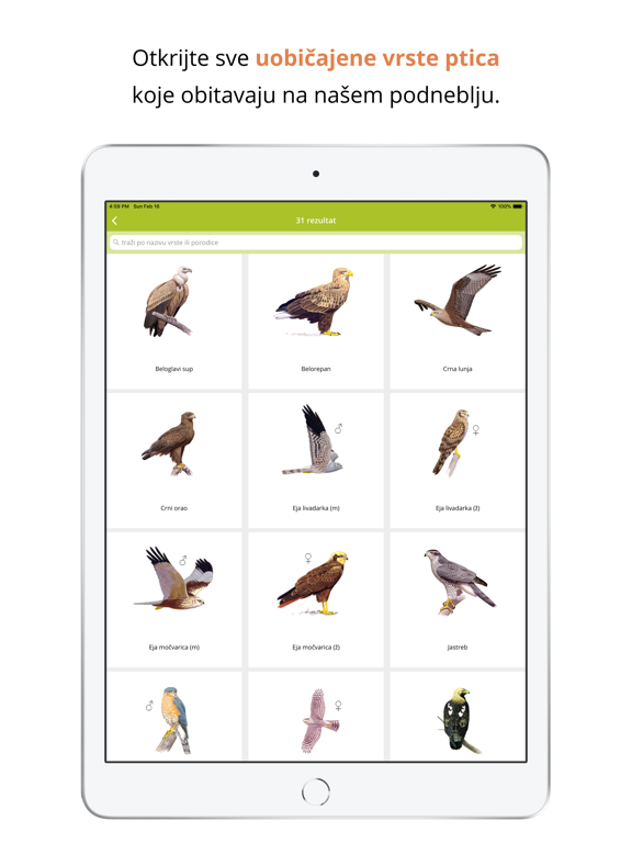 Ptice na dlanu iPad screenshot 3 - Education app