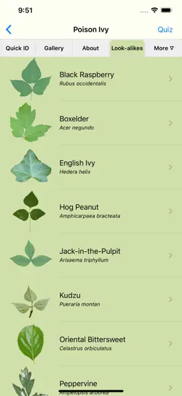 Game screenshot Rash Plants hack