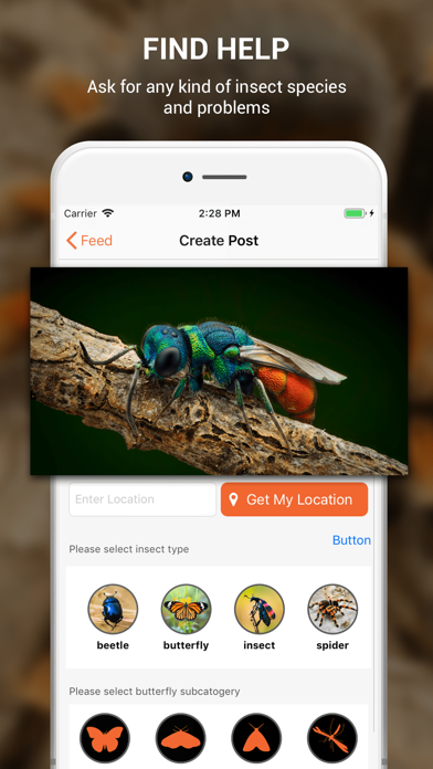 Insect identifier by photo screenshot 4