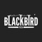 With the Blackbird Pizza mobile app, ordering food for takeout has never been easier