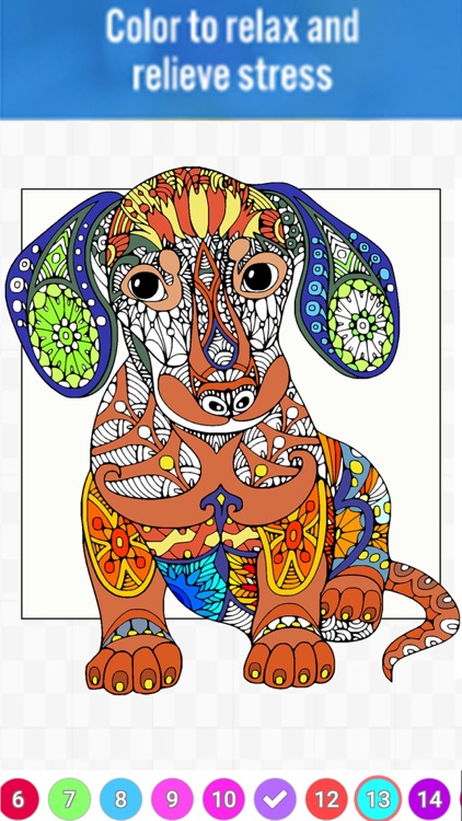 Tincture - Color by Number