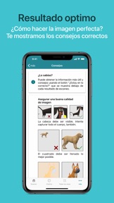 Captura de pantalla