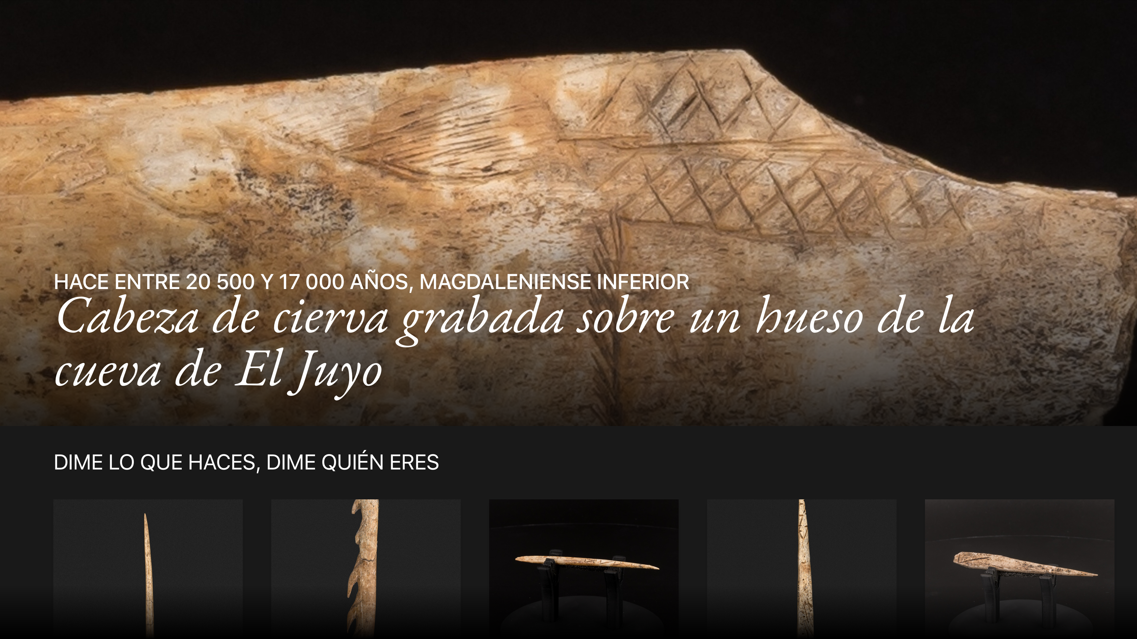 SC Museo de Altamira