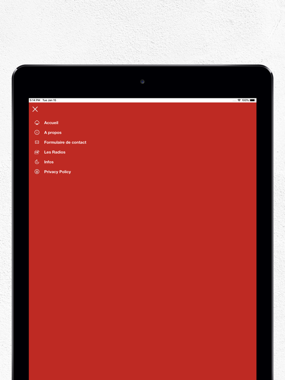 Swiss Digital Radios iPad screenshot 4 - Music app