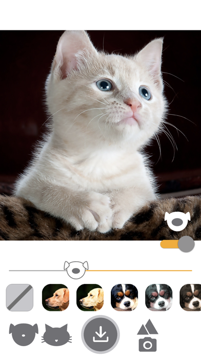 PetEasy - Dog Cat Pet Filter Screenshot