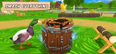 My Flying Duck
