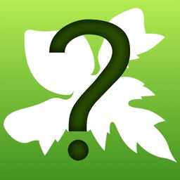 זהה את העלה